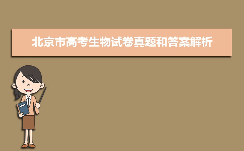 2024걱߿⼰𰸽Ѳ,word