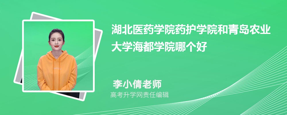 ɽѧѧԺൺũҵѧѧԺĸ 2024Ա
