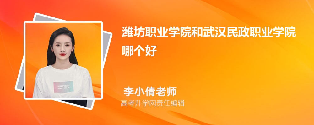 潍坊职业学院和武汉民政职业学院哪个好 分数线排名对比