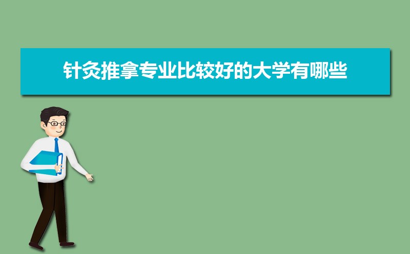 2025年大学生针灸推拿专业就业职业生涯规划书范文(参考模板)