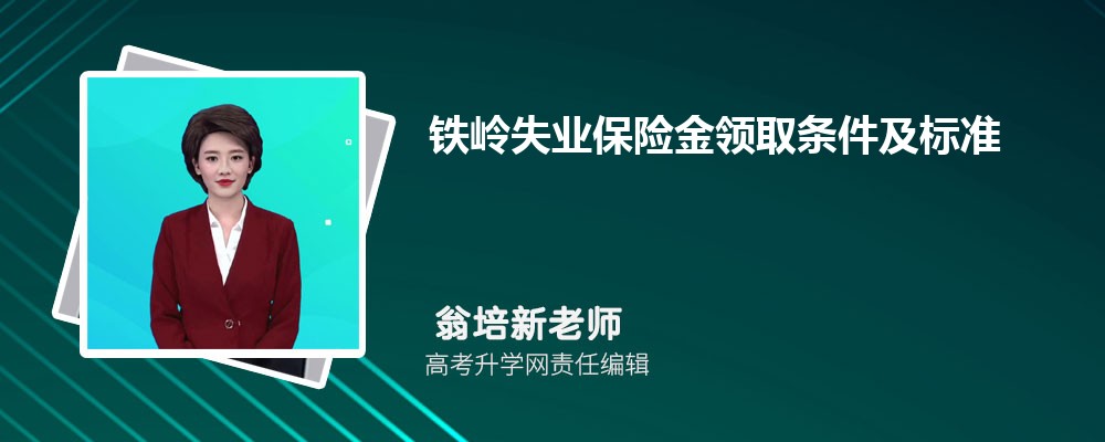 ʧҵսȡ׼2025