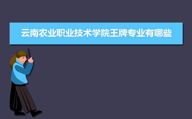 ũҵְҵѧԺ½¼ȡǶ٣2024λ