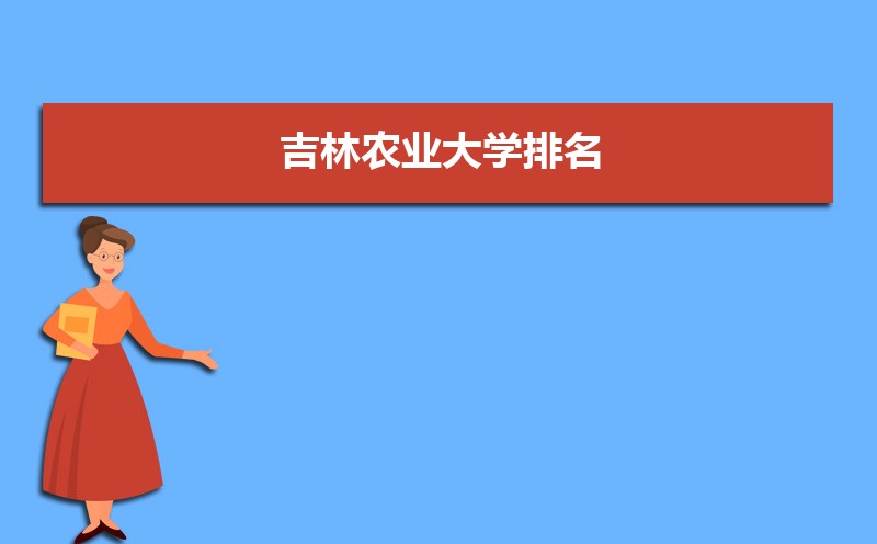 ũҵѧ2024(ȫ+ʡ)