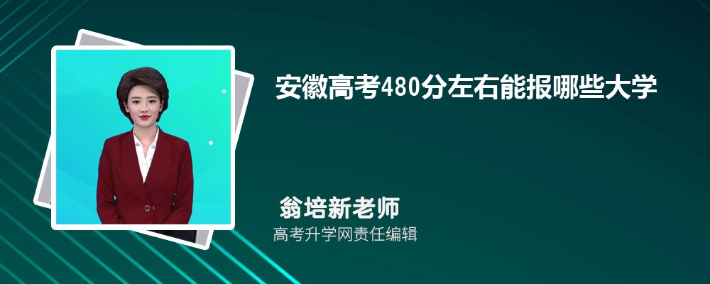 今年安徽高考480分左右能报哪些大学(公办类)