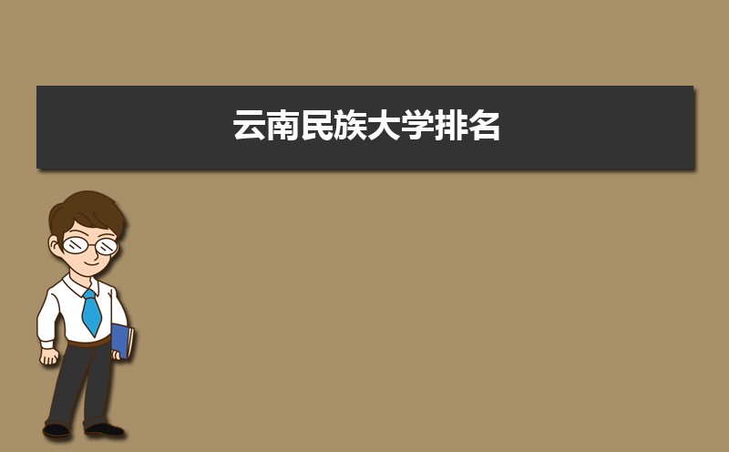 ѧ2024(ȫ+ʡ)