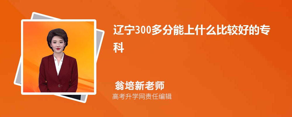 300ʲôȽϺõר2024