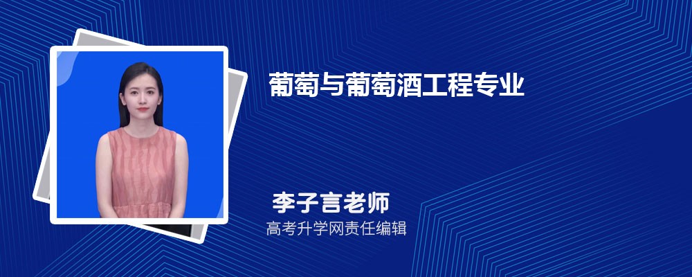 2024ѧѾƹרҵҵְҵĹ滮鷶(οģ)