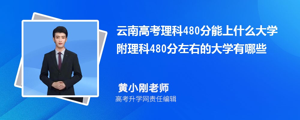 ϸ߿480ʲôѧ2024 480ҵĴѧЩ